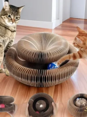 Kitten Curl Toy Foldable Magic Organ Cat Scratching Board Durable Recyclable Cardboard Cat Scratcher Cat Bed Interactive Scratch