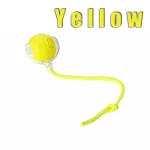Pet Smart Interactive Ball Rechargeable Cat Ball Smart Kitten Dog Interaction Toy Intelligent Toy Ball Automatic Rolling Cat Toy