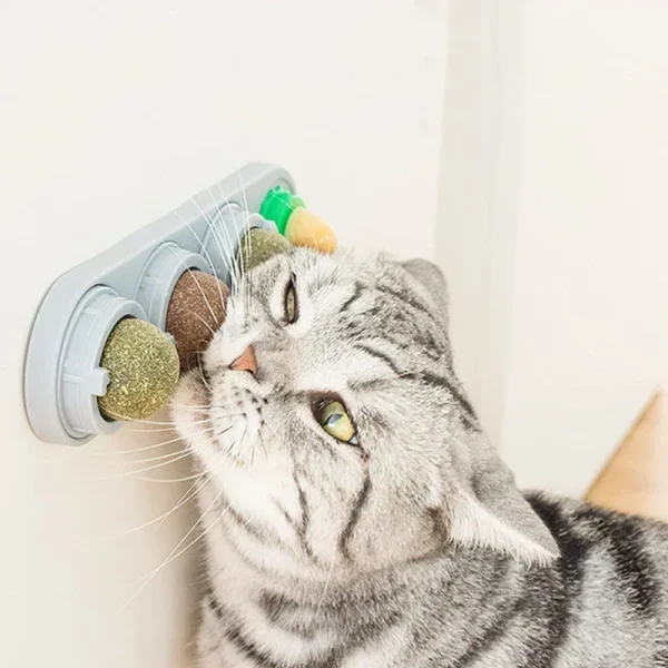 4 in 1 Rotating Catnip Silver Vine Ball Teeth Cleaning Acne Prevention Digestive Health Wall Stick on Toy Edible Safe Material